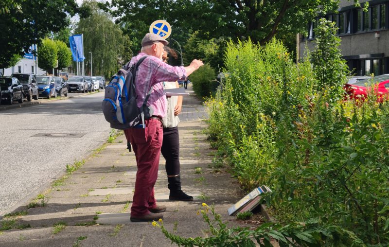 Projekt-Teaserbild für Arboretum der Zukunft – Pilotprojekt Oehlerkerring